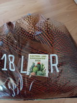Andrea aus Essen review photo