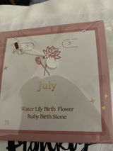 Shelley review photo