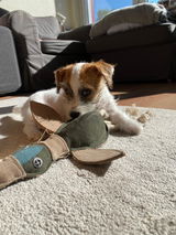 nice review photo