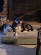 Terrie P. review photo