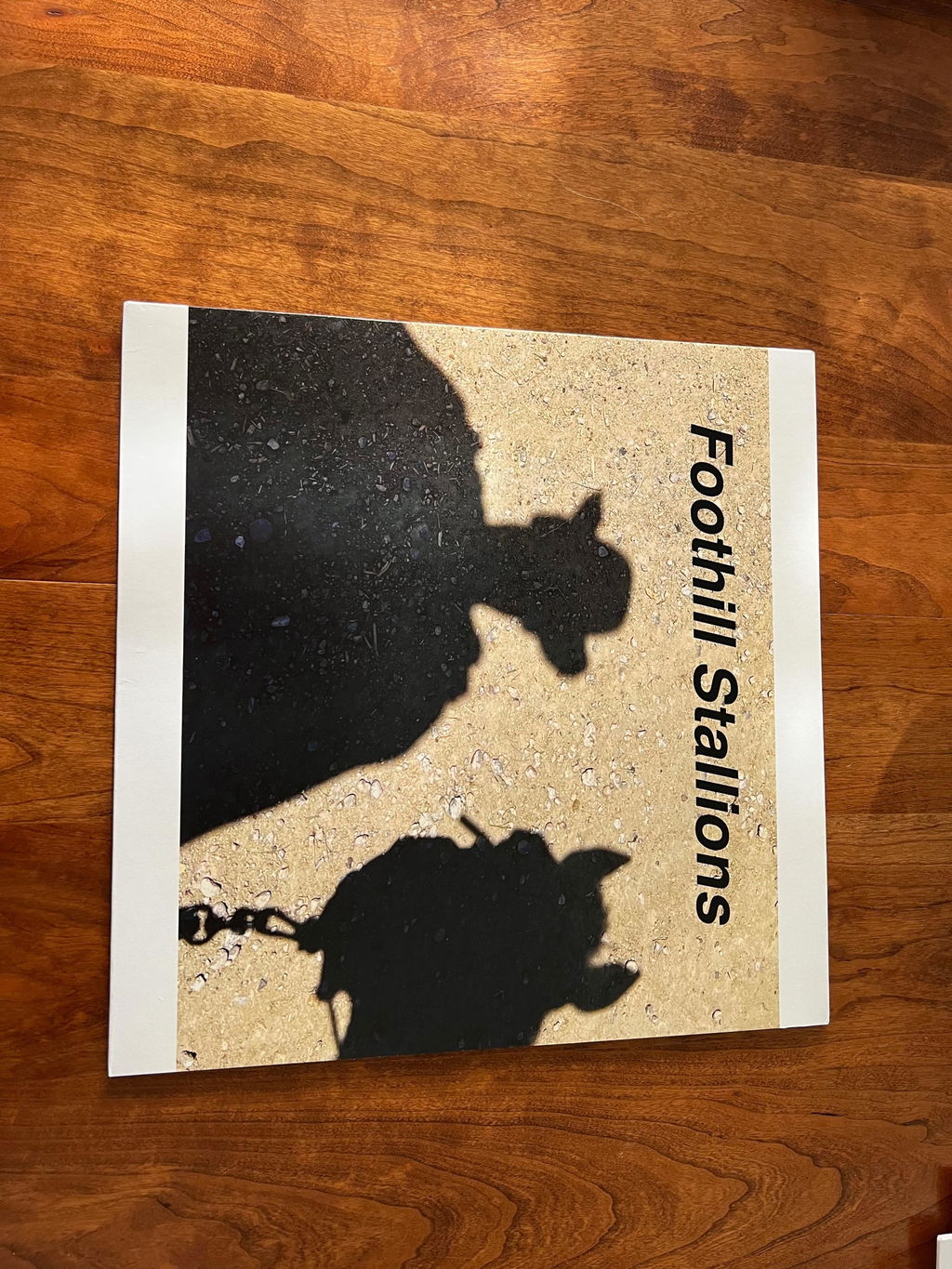 12" Custom Vinyl Record - No MP3 Required