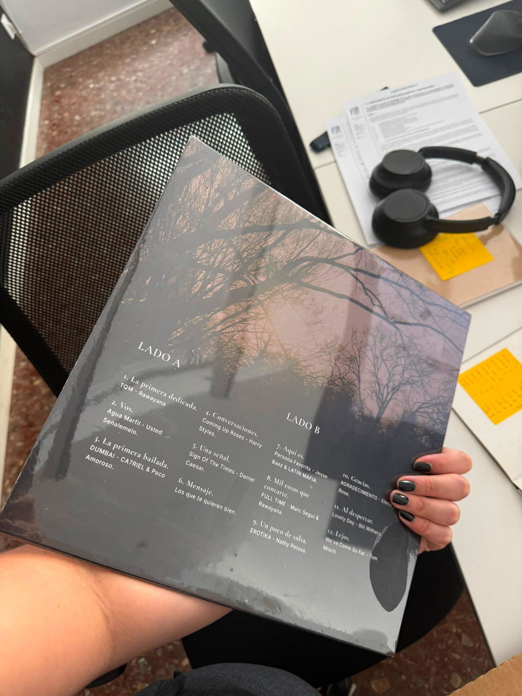 12" Custom Vinyl Record - Upload Your Tracks