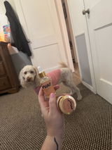Maddie review photo