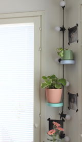 Niina review photo