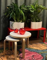 Ulla review photo