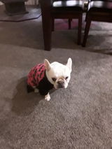 Jayne review photo