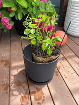 Etsy customer review photo