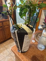 Etsy customer review photo