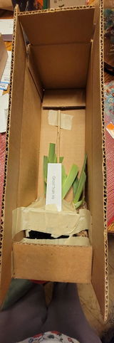 Etsy customer review photo