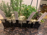 Etsy customer review photo