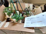 Etsy customer review photo