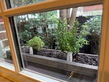 Etsy customer review photo