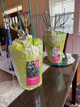 Etsy customer review photo
