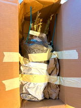 Irina review photo