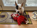 Marcia W. review photo