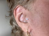 theresa l. review photo