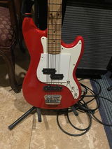 steve b. review photo