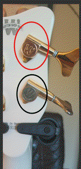 Paul S. review photo