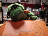 R. review photo