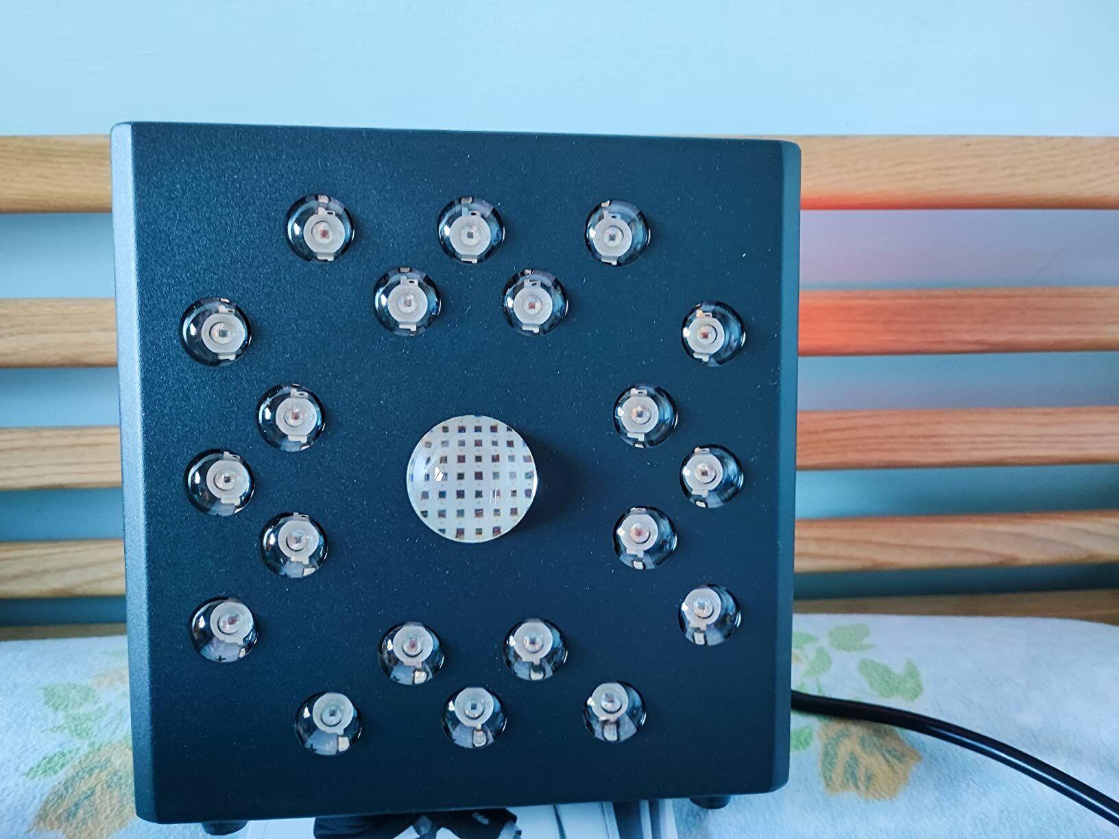 Lily review photo