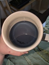 Arlo Karpelevitch review photo