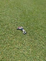 Hubert Murray review photo