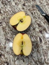 Gracie review photo