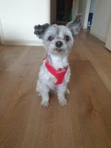 Tania review photo