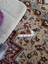 Donna L. review photo