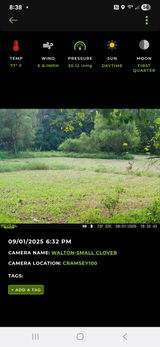 Scott leasman. review photo