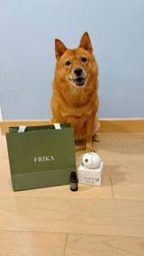 啤啤 review photo