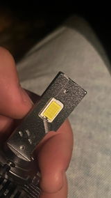 Paul review photo
