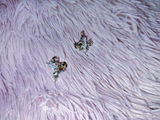 Carol C. review photo