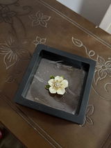 Judith J. review photo