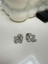 Rose M. review photo