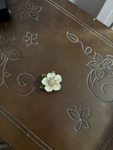 Judith J. review photo