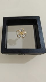 Janice M. review photo