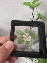 Shannon C. review photo