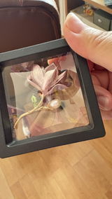 Rosemary B. review photo