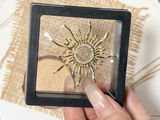 Lynn C. review photo