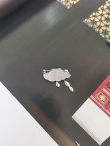 Aria R. review photo