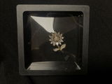 Leo C. review photo