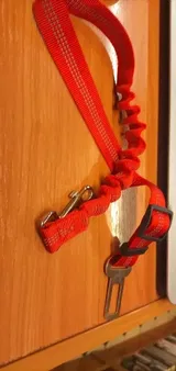 Finn Howard review photo