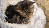 Greg C. review photo