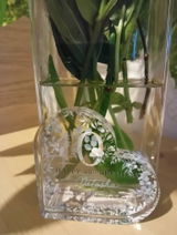 Angelita review photo