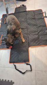 Orion Shea review photo