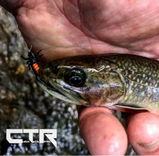 Neal Drakage (Custom Tackle Review) review photo