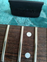 Ari review photo