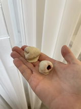 Малькова Елизавета review photo