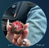 Софія Іванова review photo